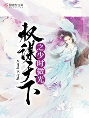 权谋天下之少时微光