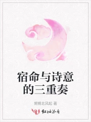 宿命与诗意的三重奏