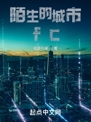 陌生的城市fc