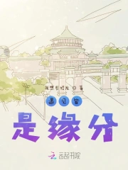 遇见皆是缘分
