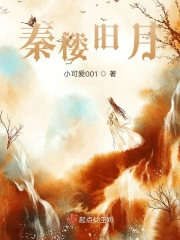 秦楼旧月
