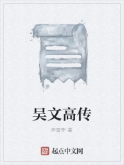 吴文高传