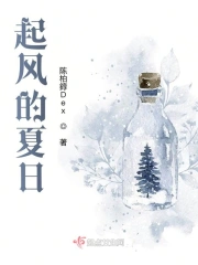 起风的夏日