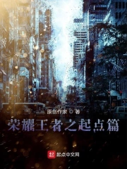 荣耀王者之起点篇