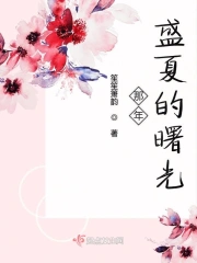 那年盛夏的曙光