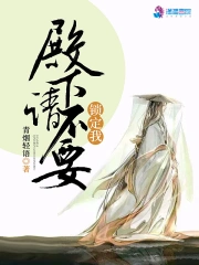 殿下请不要锁定我