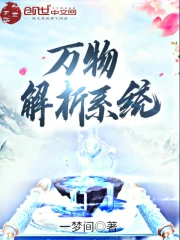 万物解析系统