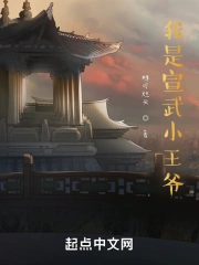 我是宣武小王爷