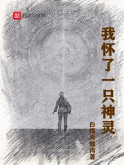 我怀了一只神灵
