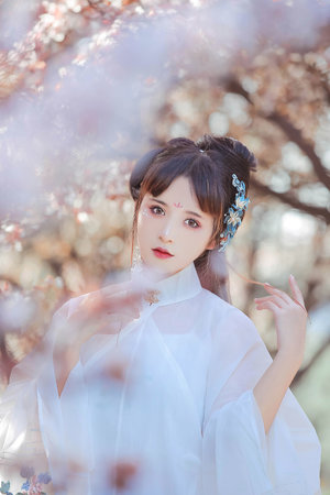 盛世红妆之嫡妃风华