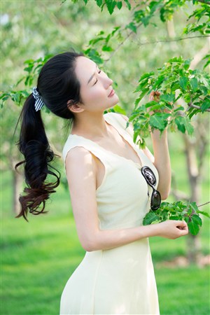 龙王传说之万兵噬龙